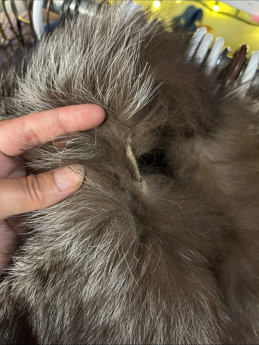 Vintage Silver Fox Fur Pillbox Hat - Brown and Gray Tones - Picture 12 of 13